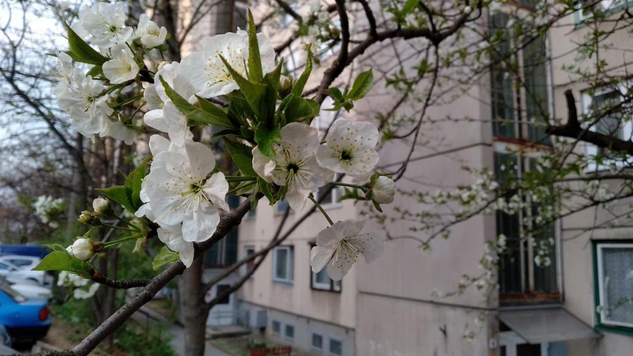 מישקולץ Gesztenyes Apartman מראה חיצוני תמונה